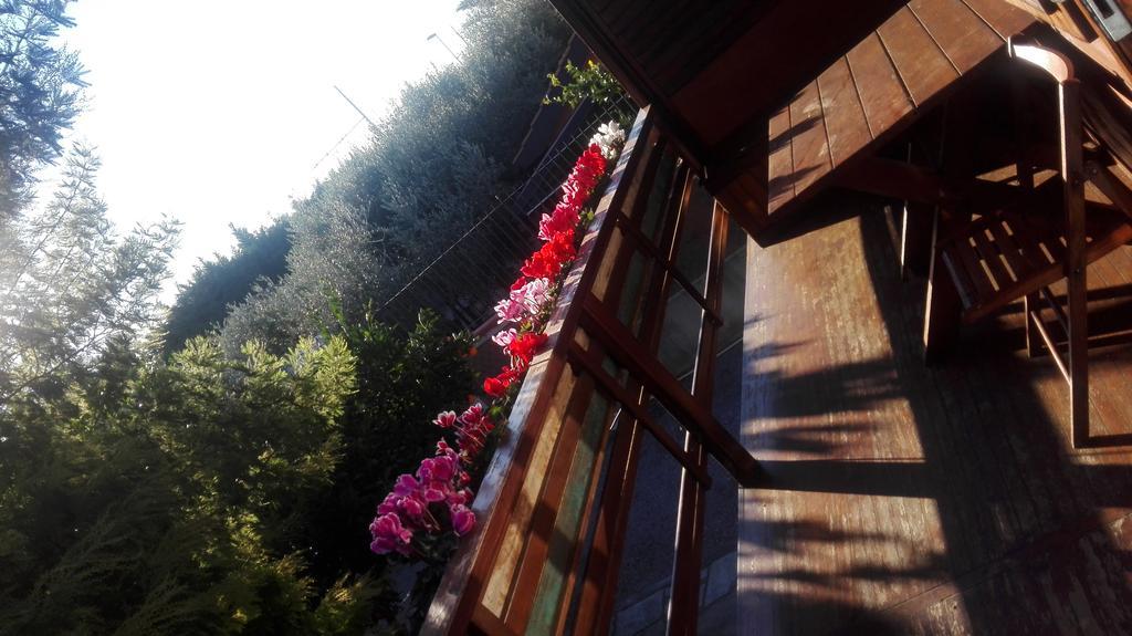 Agriturismo Baita Marina Villa Albenga Eksteriør bilde